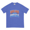"Woo-Hoo for the Orange and Blue" Unisex garment-dyed heavyweight t-shirt - Image 3